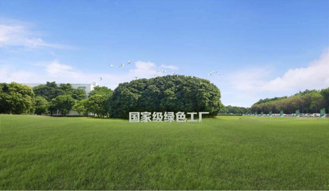 三棵樹(shù)2025ESG報(bào)告1374