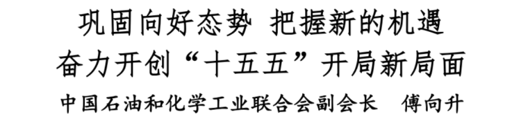 2026石油和化工行業(yè)經(jīng)濟形勢分析會報告114